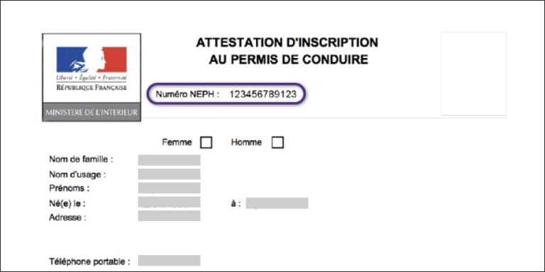 NEPH : Inscription Au Permis De Conduire - Merci Léon