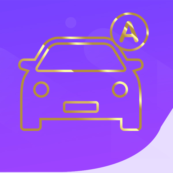 Permis Boîte Automatique Éco