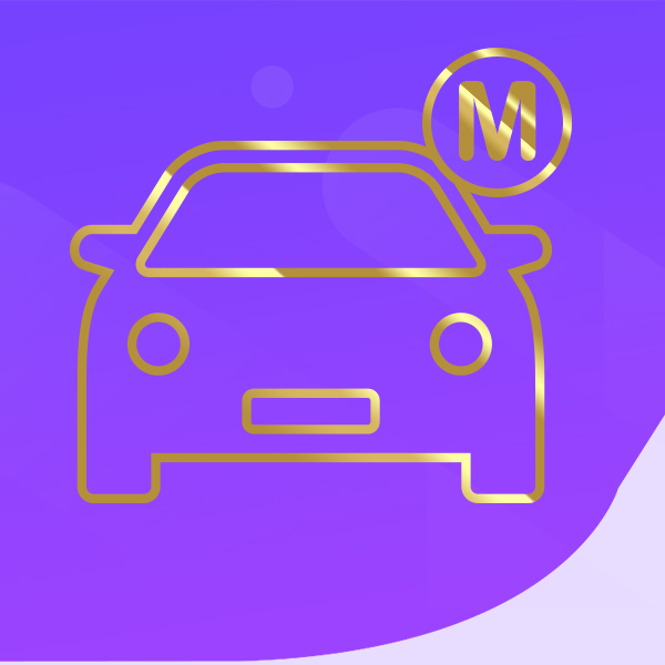 Permis Boîte Manuelle Premium